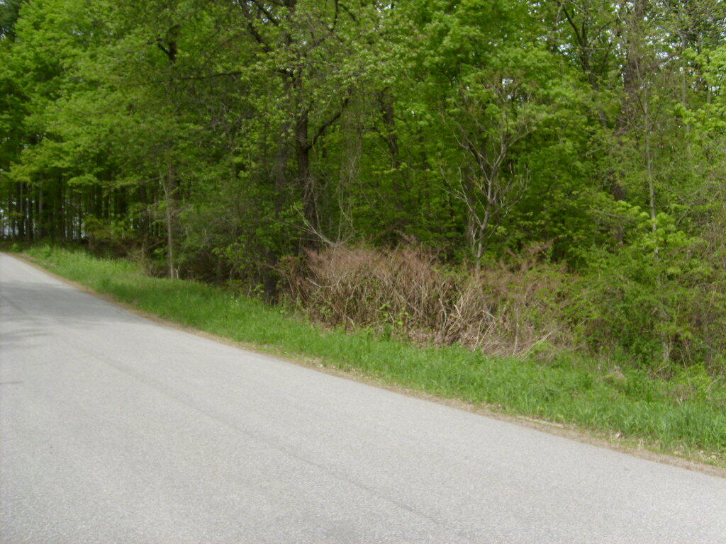 0 Barksdale Road Westport, NY 12993 - Photo 10 of 12