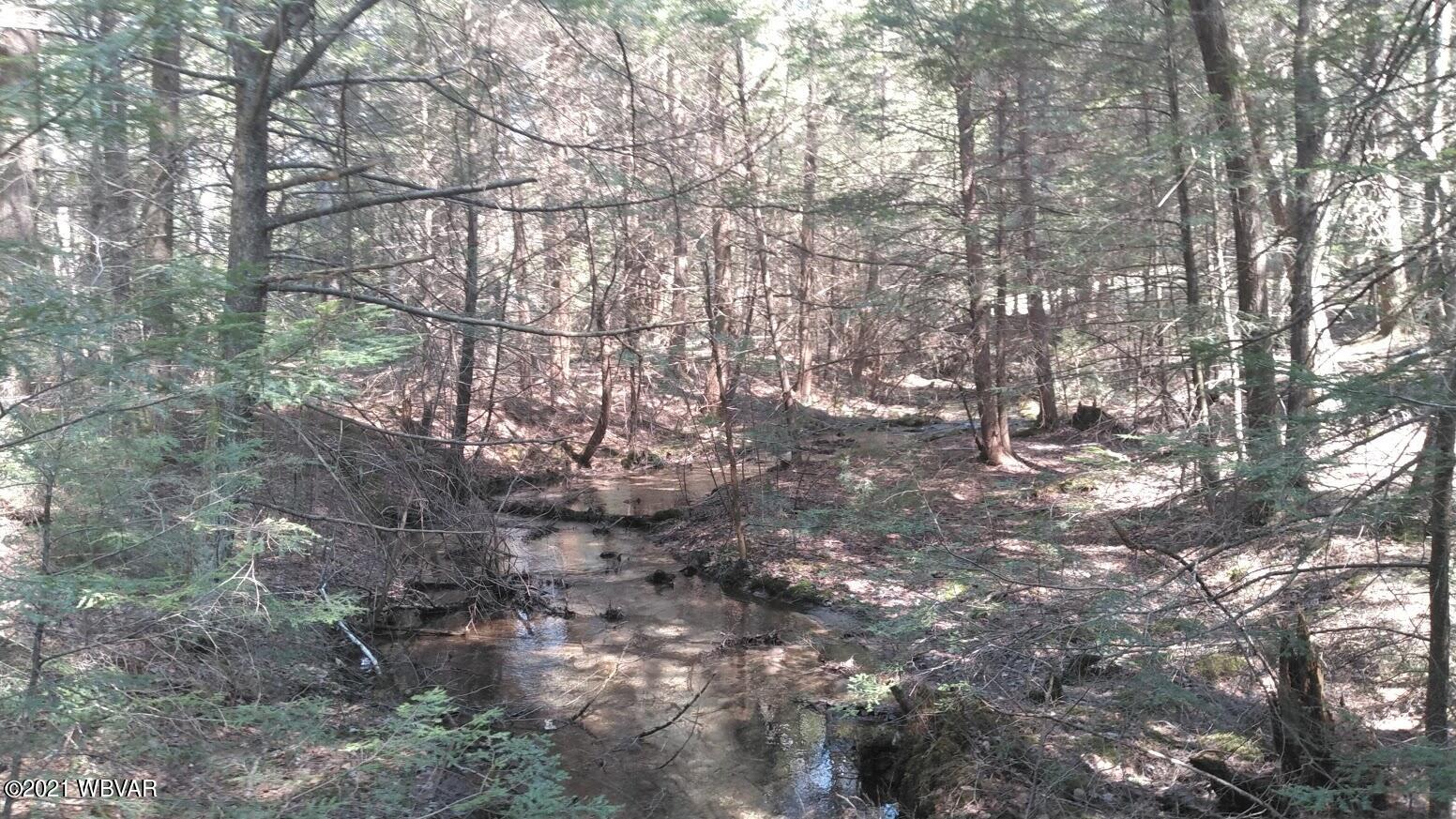 4026 Queens Run Road Lock Haven, PA 17745 - Photo 2 of 5 Gallery Image 2
