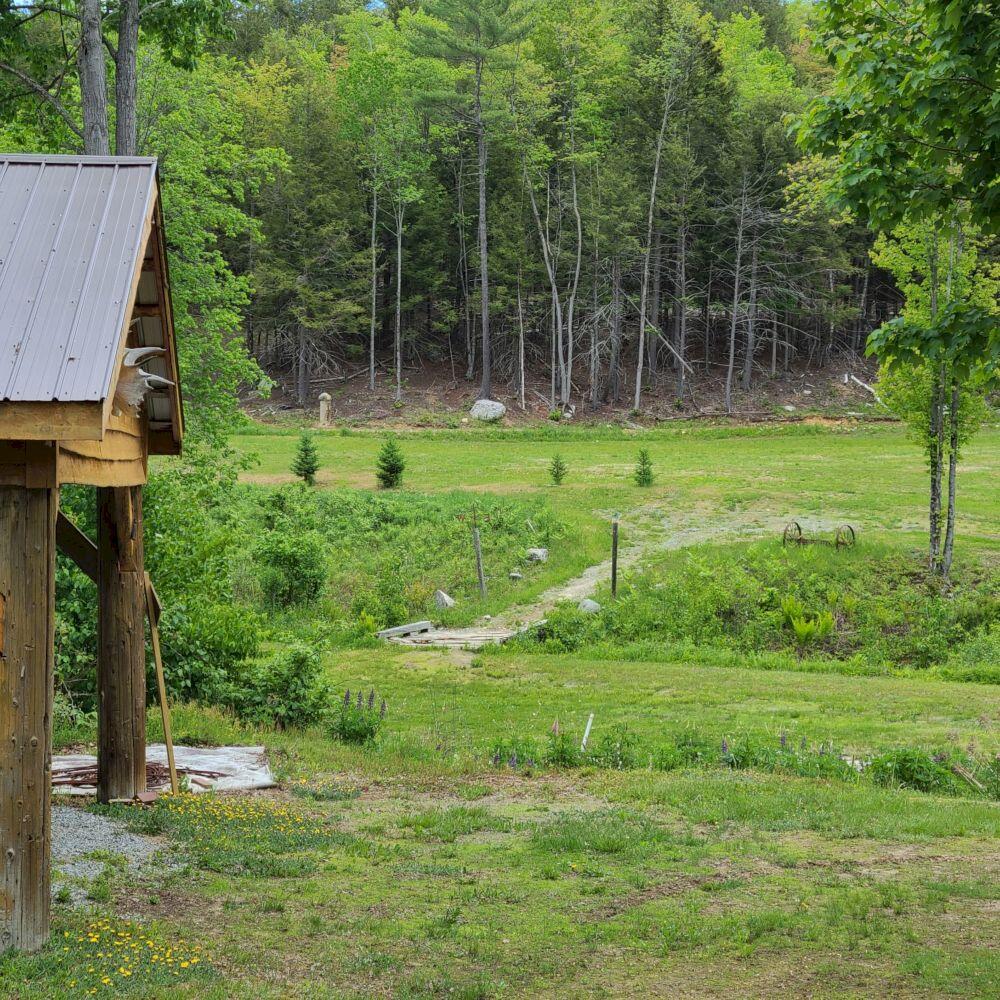 32 Sicotte Road Peru, ME 04290 - Photo 50 of 58 20220601_140759