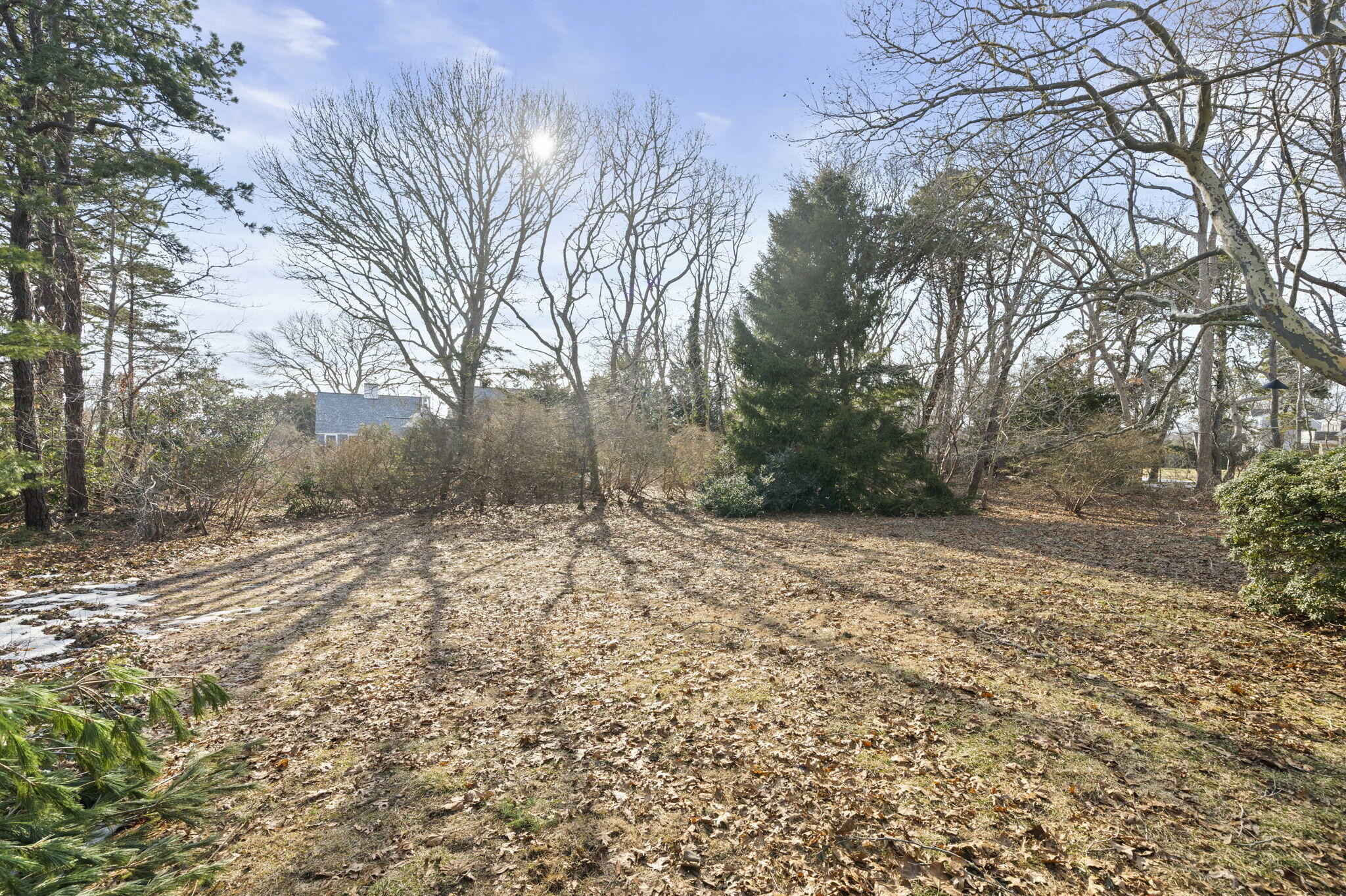 18 Winfield Way Osterville, MA 02655 - Photo 31 of 47 Yard