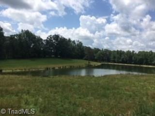0 West Chrisco Road Seagrove, NC 27341 - Photo 1 of 1