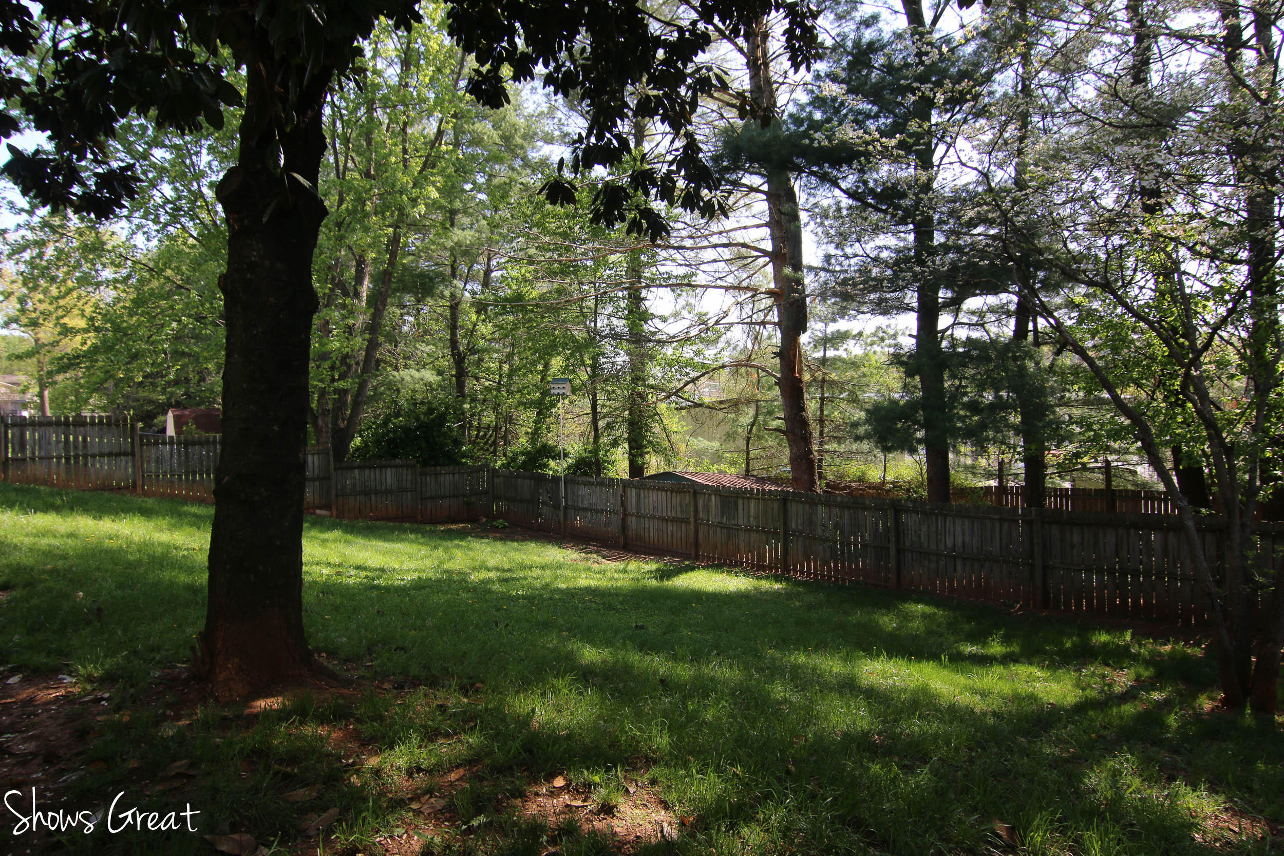 3710 Meadowlark Road Roanoke, VA 24018 - Photo 12 of 34 IMG_4501