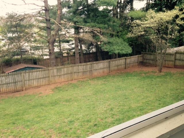 3710 Meadowlark Road Roanoke, VA 24018 - Photo 33 of 34 3710 MEADOWLARK YARD