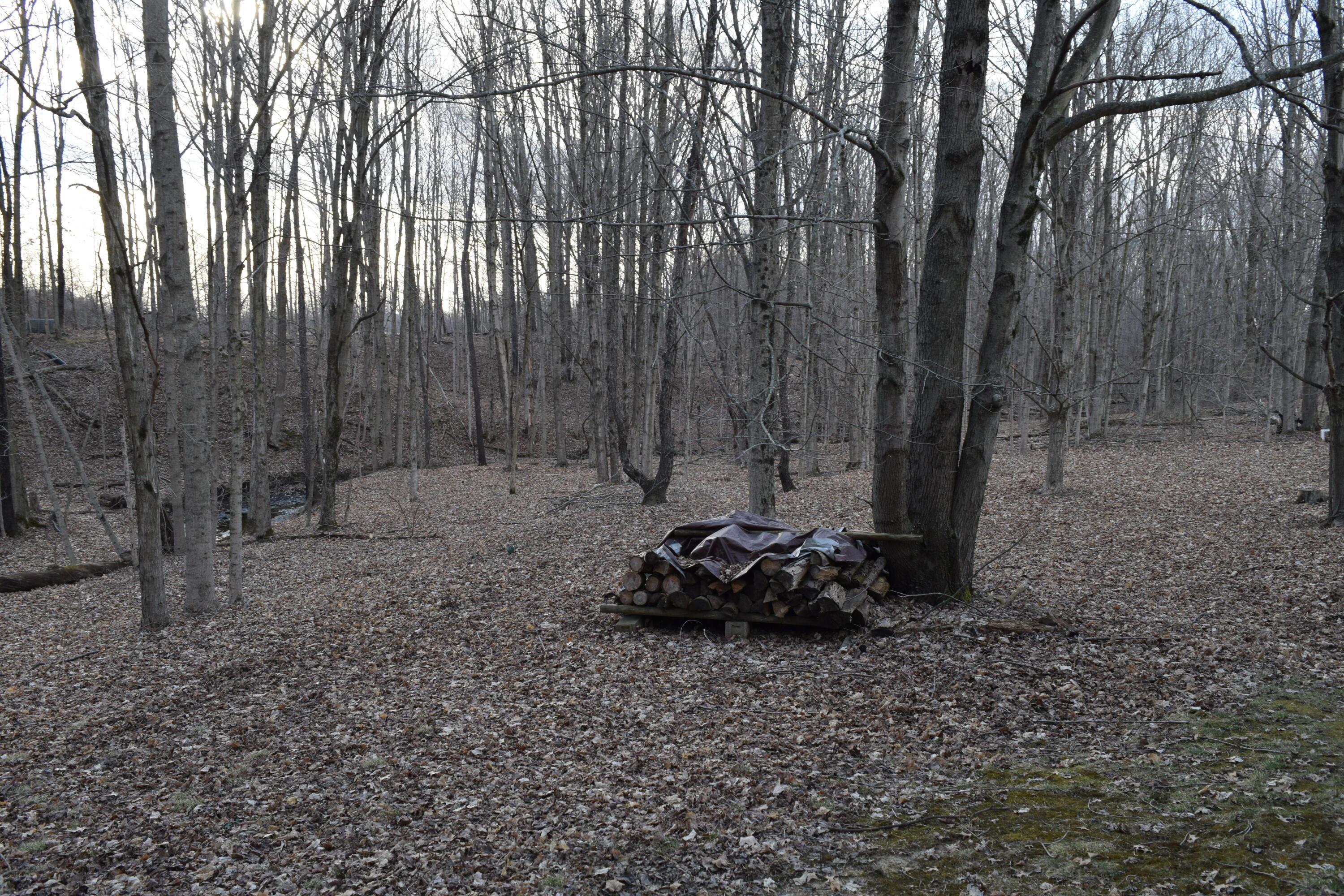 4465 Beard Road Sunbury, OH 43074 - Photo 12 of 40 Back Yard