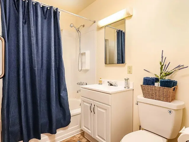 a bathroom with a sink a toilet a mirror and shower curtain