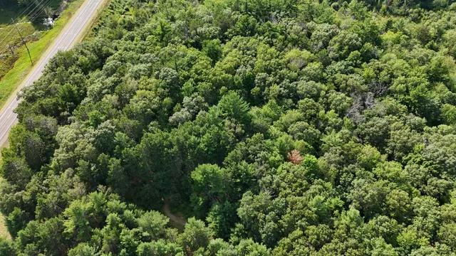 $26,800 | Lot 4 Fosmo, Webster, WI 54893