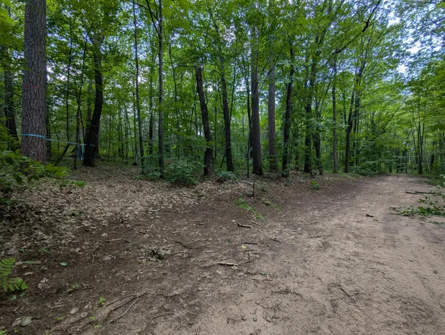 $26,800 | Lot 4 Fosmo, Webster, WI 54893