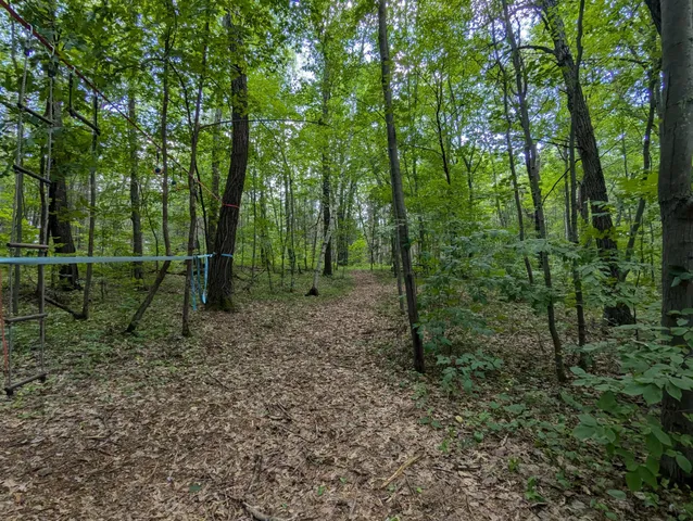 $26,800 | Lot 4 Fosmo, Webster, WI 54893