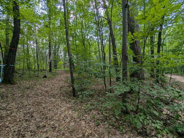 $26,800 | Lot 4 Fosmo, Webster, WI 54893