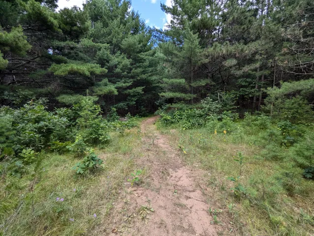 $26,800 | Lot 4 Fosmo, Webster, WI 54893