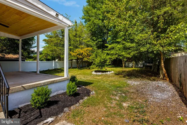 a view of a backyard with tree