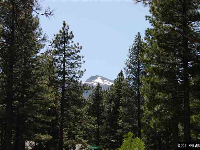 0 Austrian Pine Road Reno, NV 89511 - Photo 1 of 1 Photo 1
