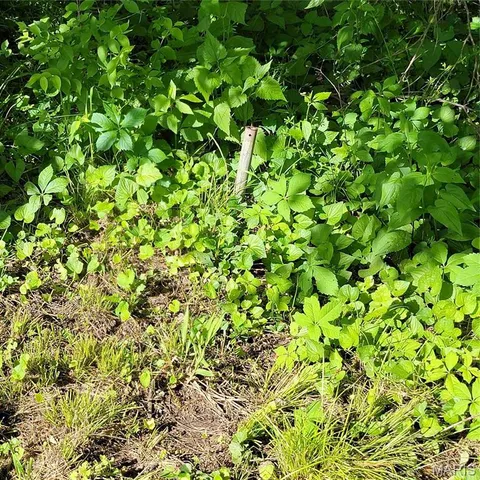 $10,000 | 1608 Singleton Avenue, Hannibal, MO 63401