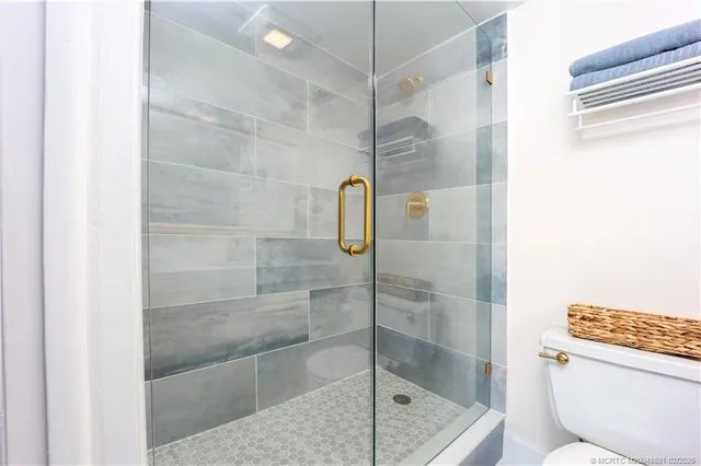 a bathroom with a shower and toilet
