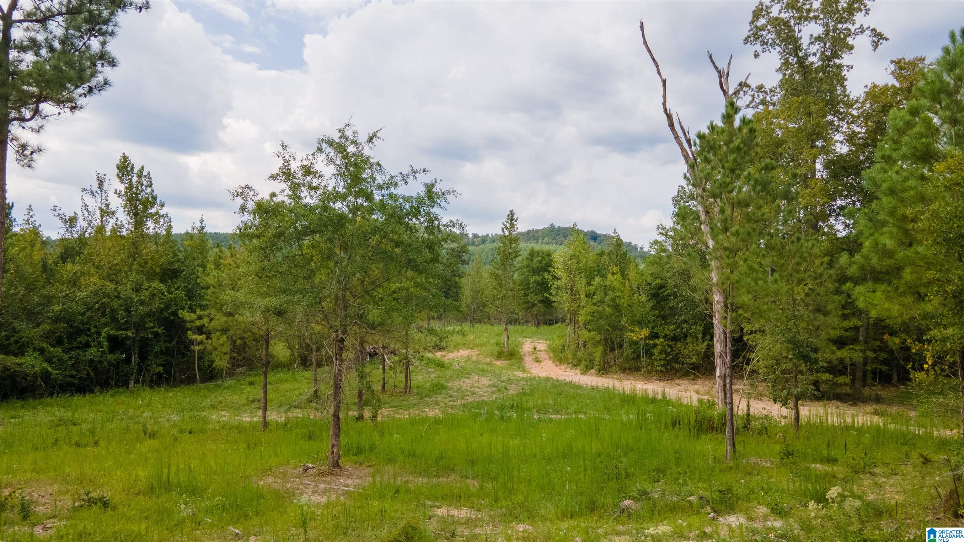 10675 Shoal Creek Road, Unit X Ashville, AL 35953 - Photo 13 of 19