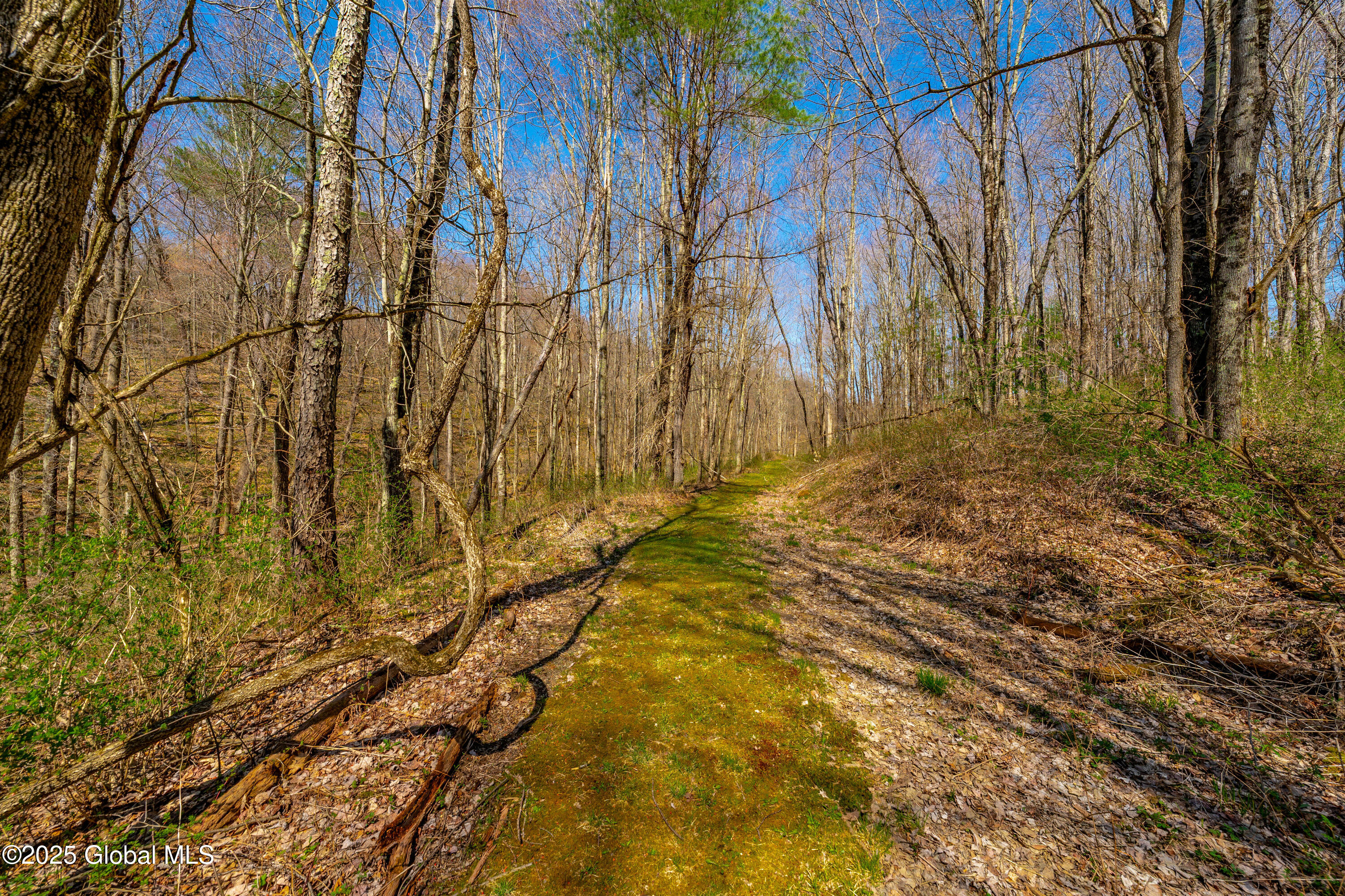 49 State Line Road White Creek, NY 12057 - Photo 11 of 32 DSC06714