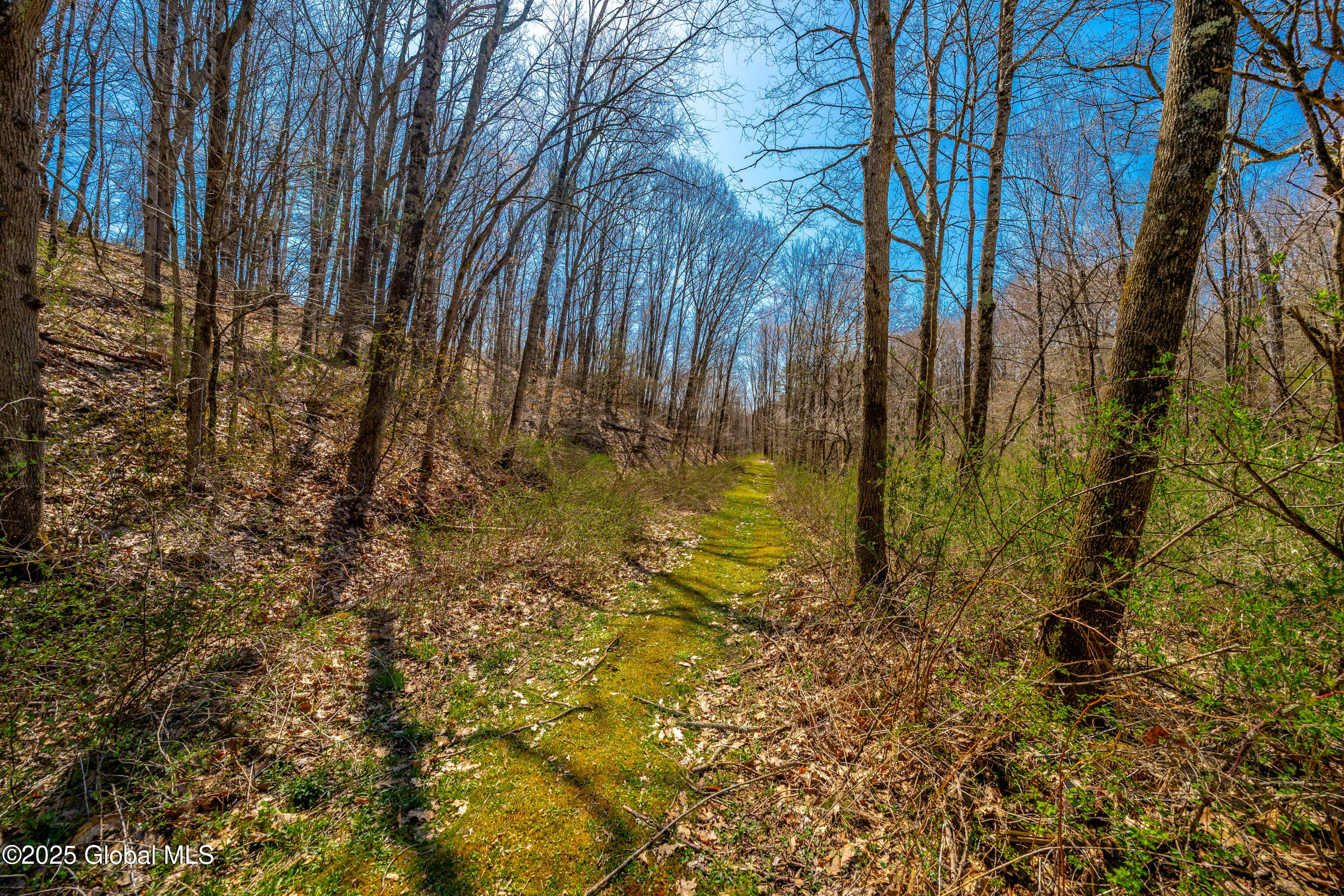 49 State Line Road White Creek, NY 12057 - Photo 12 of 32 DSC06711