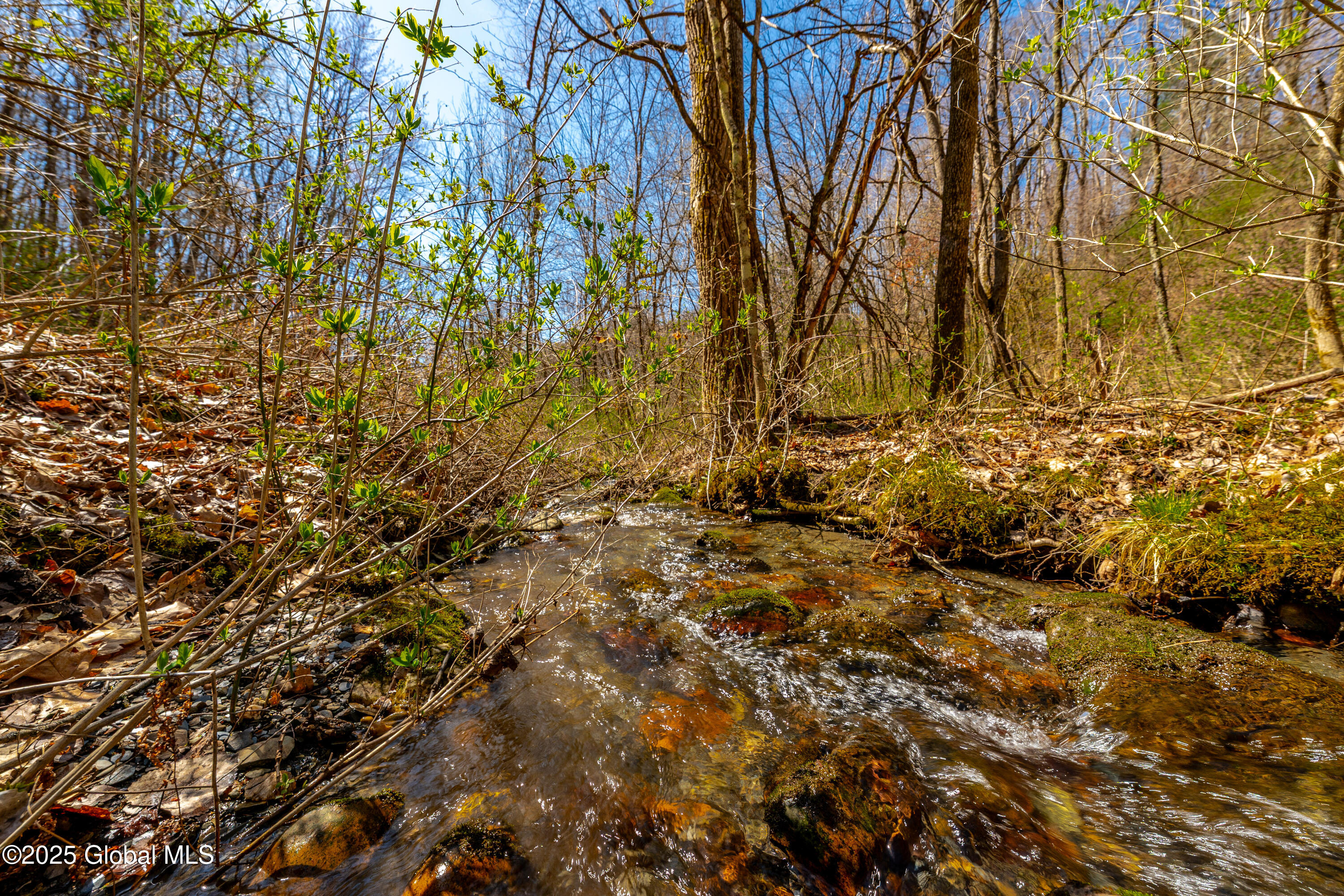 49 State Line Road White Creek, NY 12057 - Photo 13 of 32 DSC06706