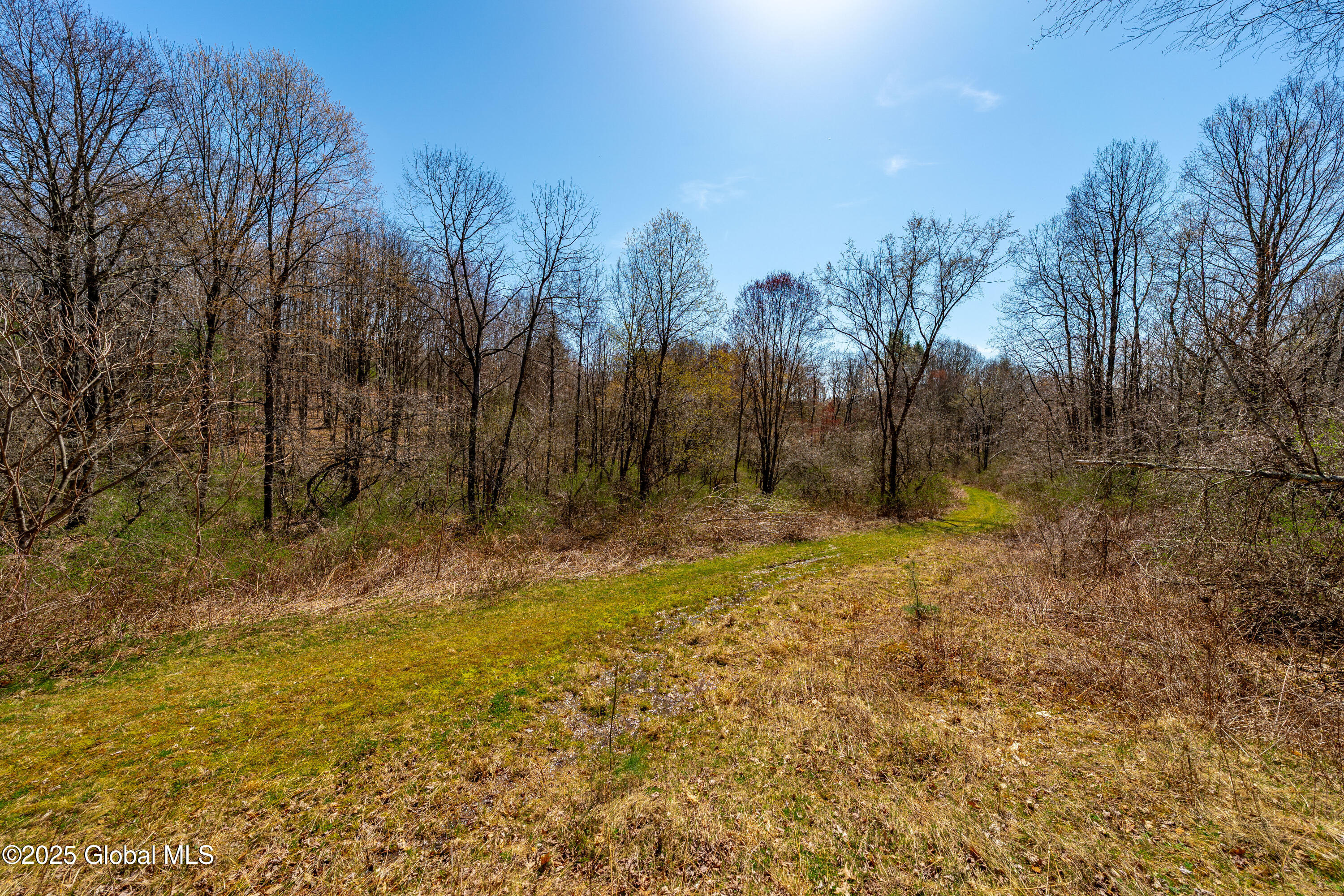 49 State Line Road White Creek, NY 12057 - Photo 17 of 32 DSC06688