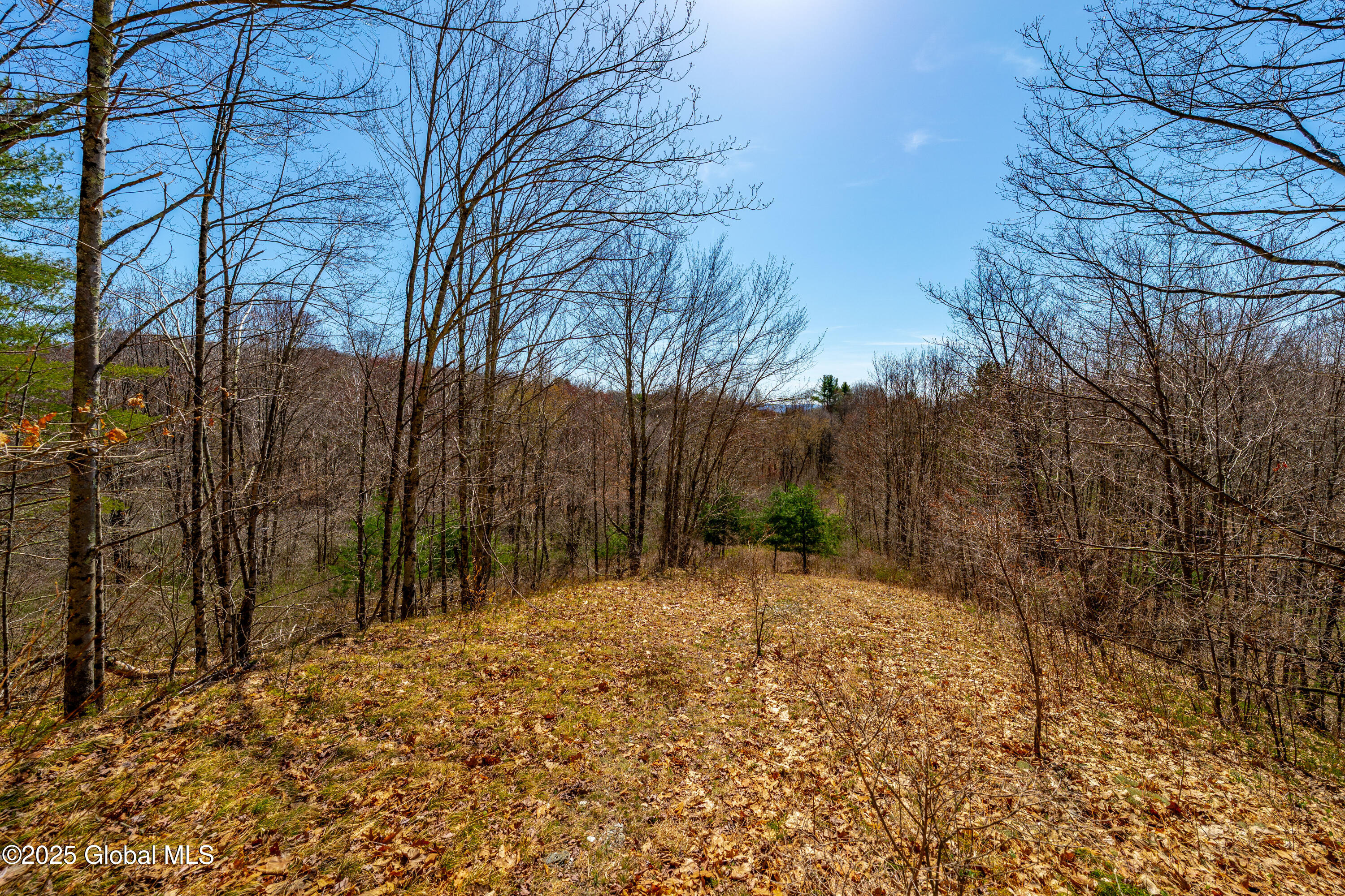 49 State Line Road White Creek, NY 12057 - Photo 18 of 32 DSC06685