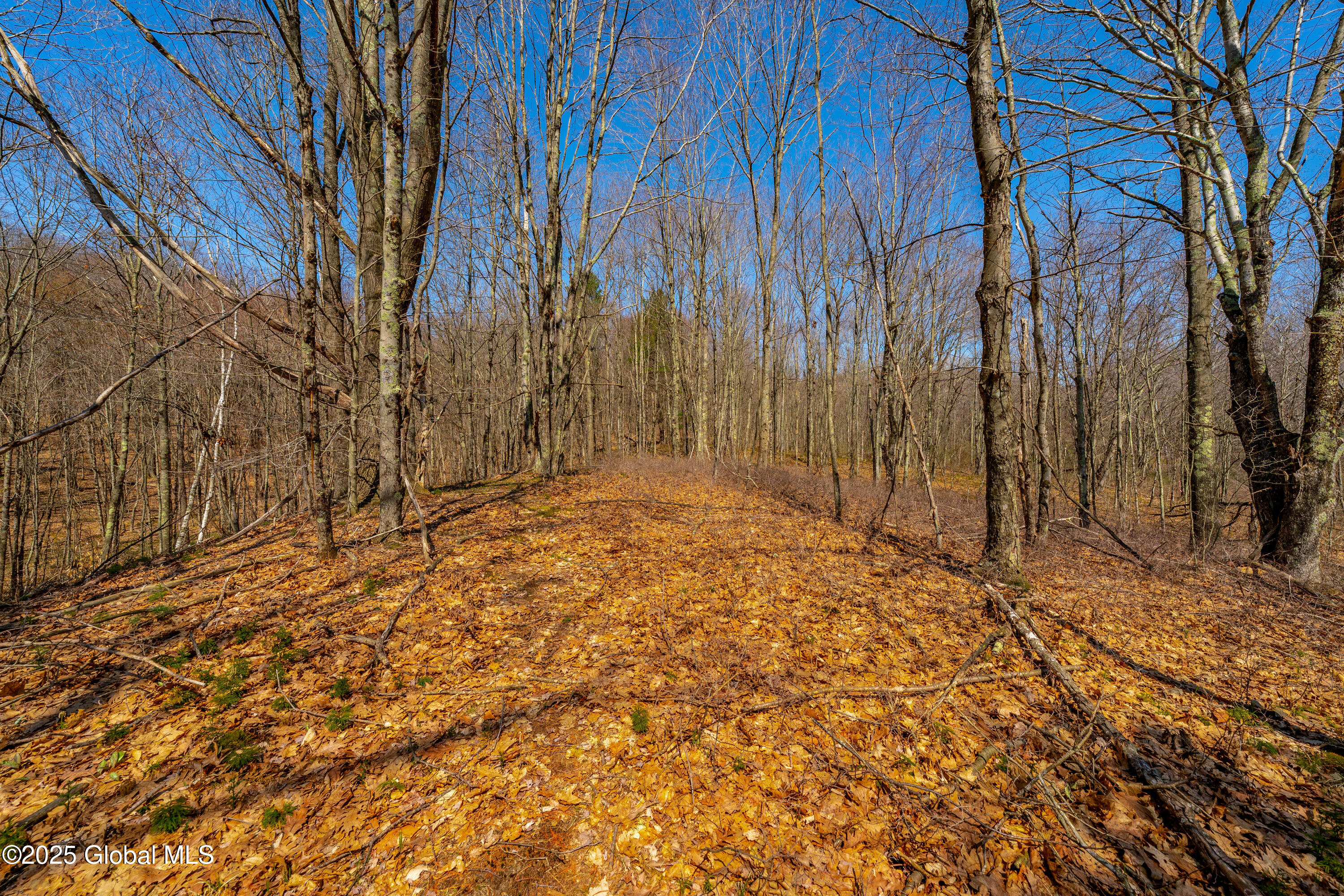 49 State Line Road White Creek, NY 12057 - Photo 19 of 32 DSC06682