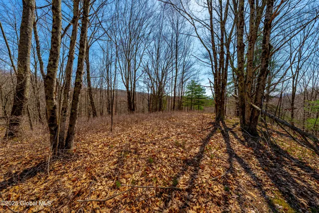 $299,900 | 49 State Line Road, White Creek, NY 12057