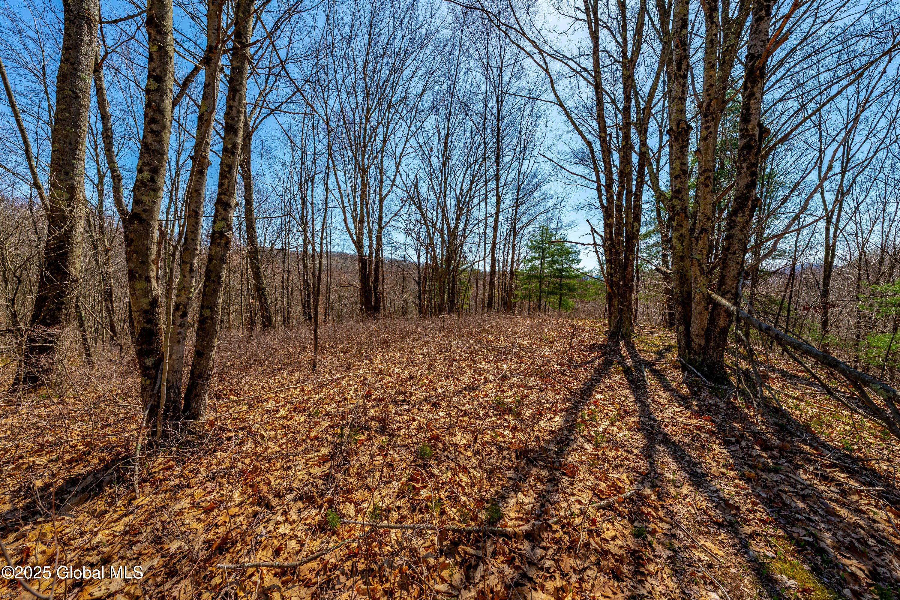49 State Line Road White Creek, NY 12057 - Photo 20 of 32 DSC06679