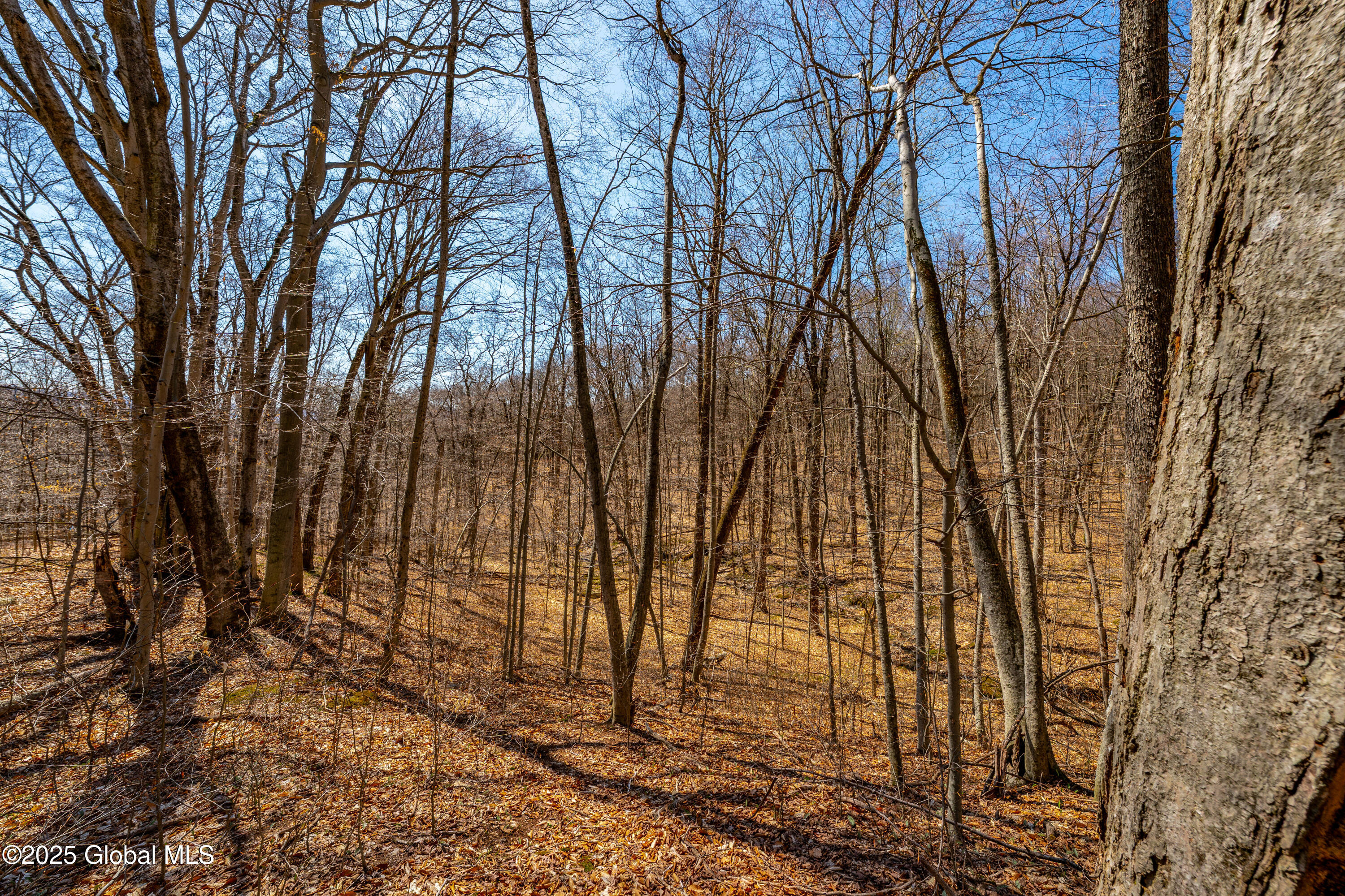 49 State Line Road White Creek, NY 12057 - Photo 21 of 32 DSC06677