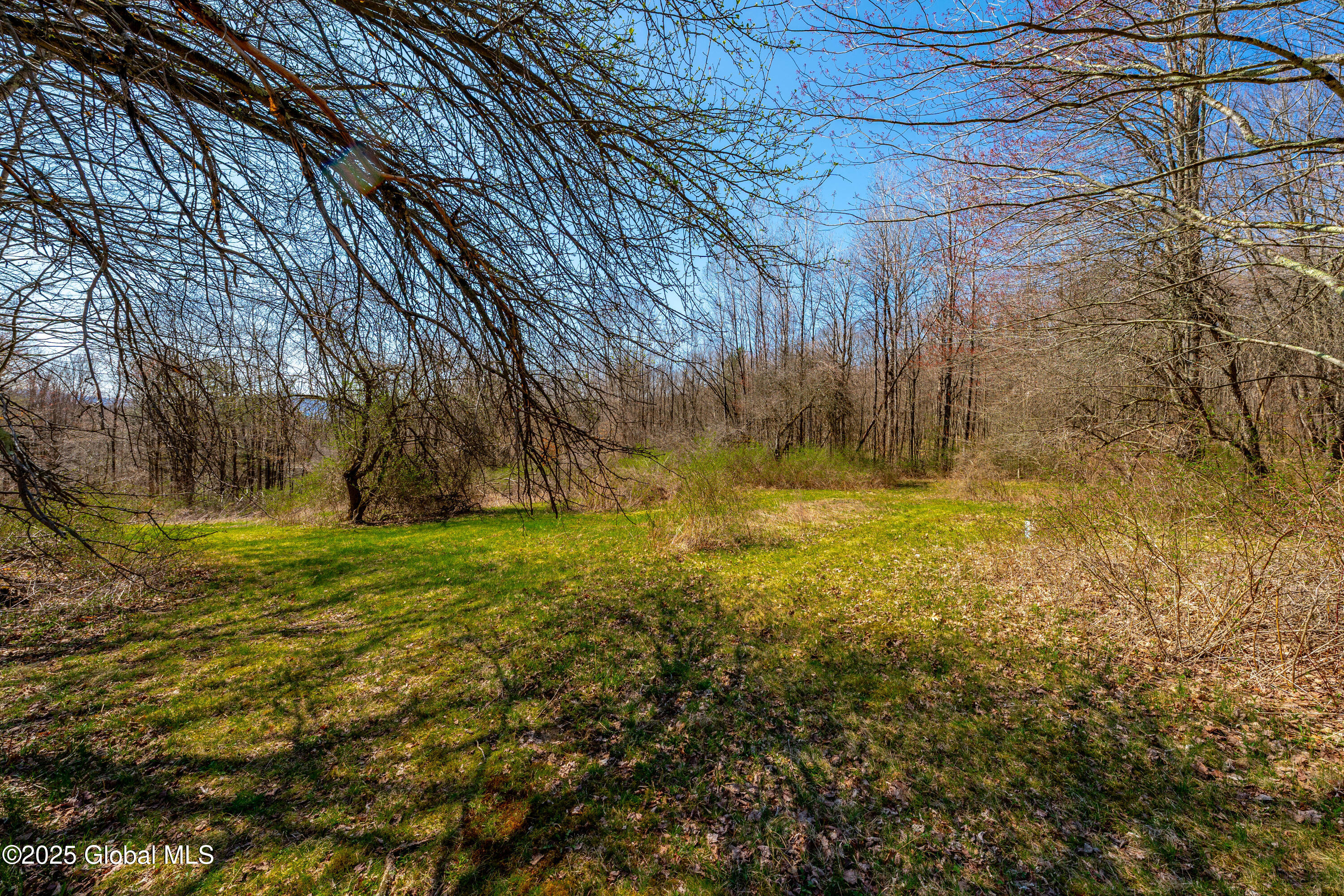 49 State Line Road White Creek, NY 12057 - Photo 22 of 32 DSC06673