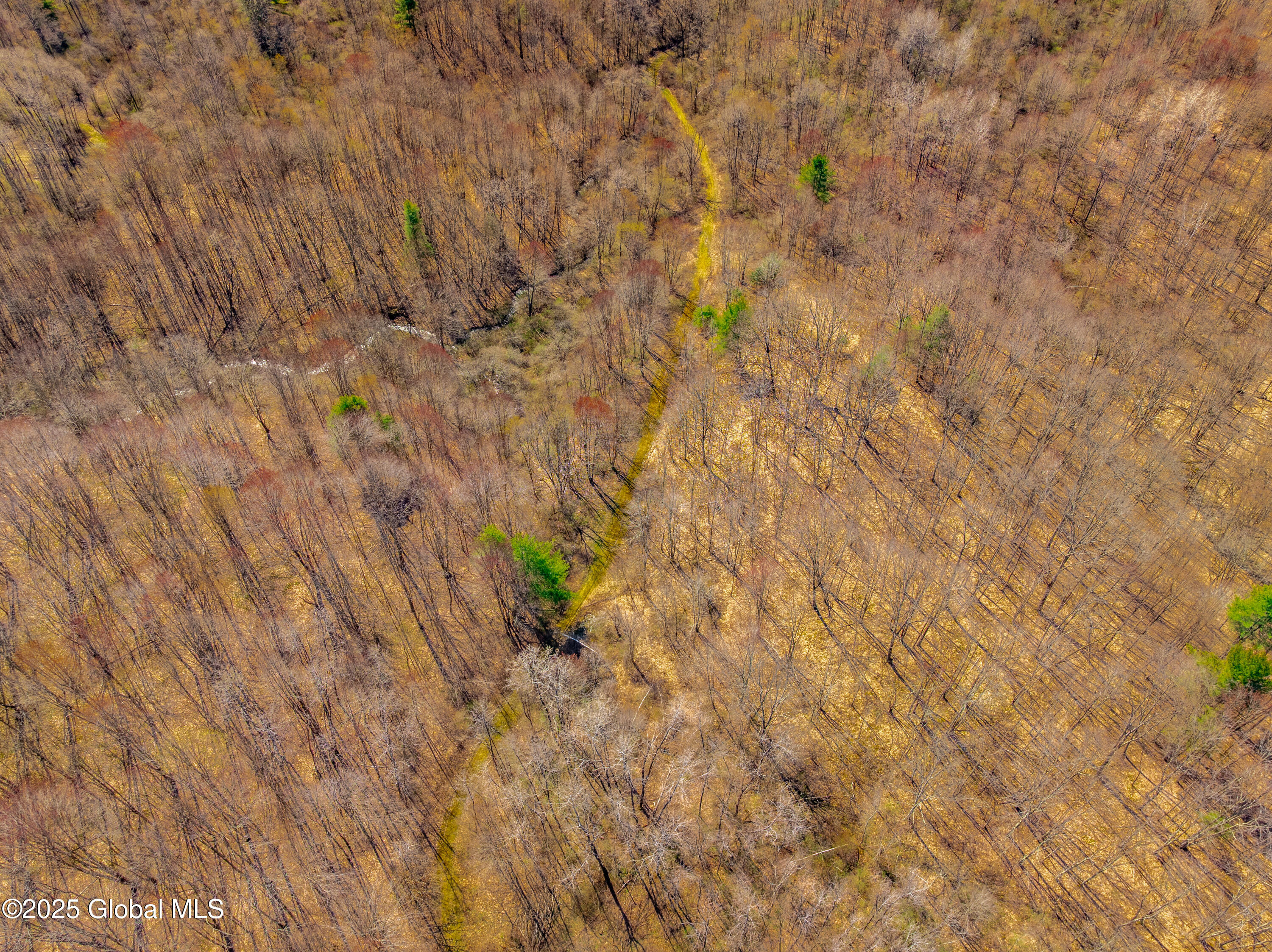 49 State Line Road White Creek, NY 12057 - Photo 32 of 32 DJI_0581-HDR