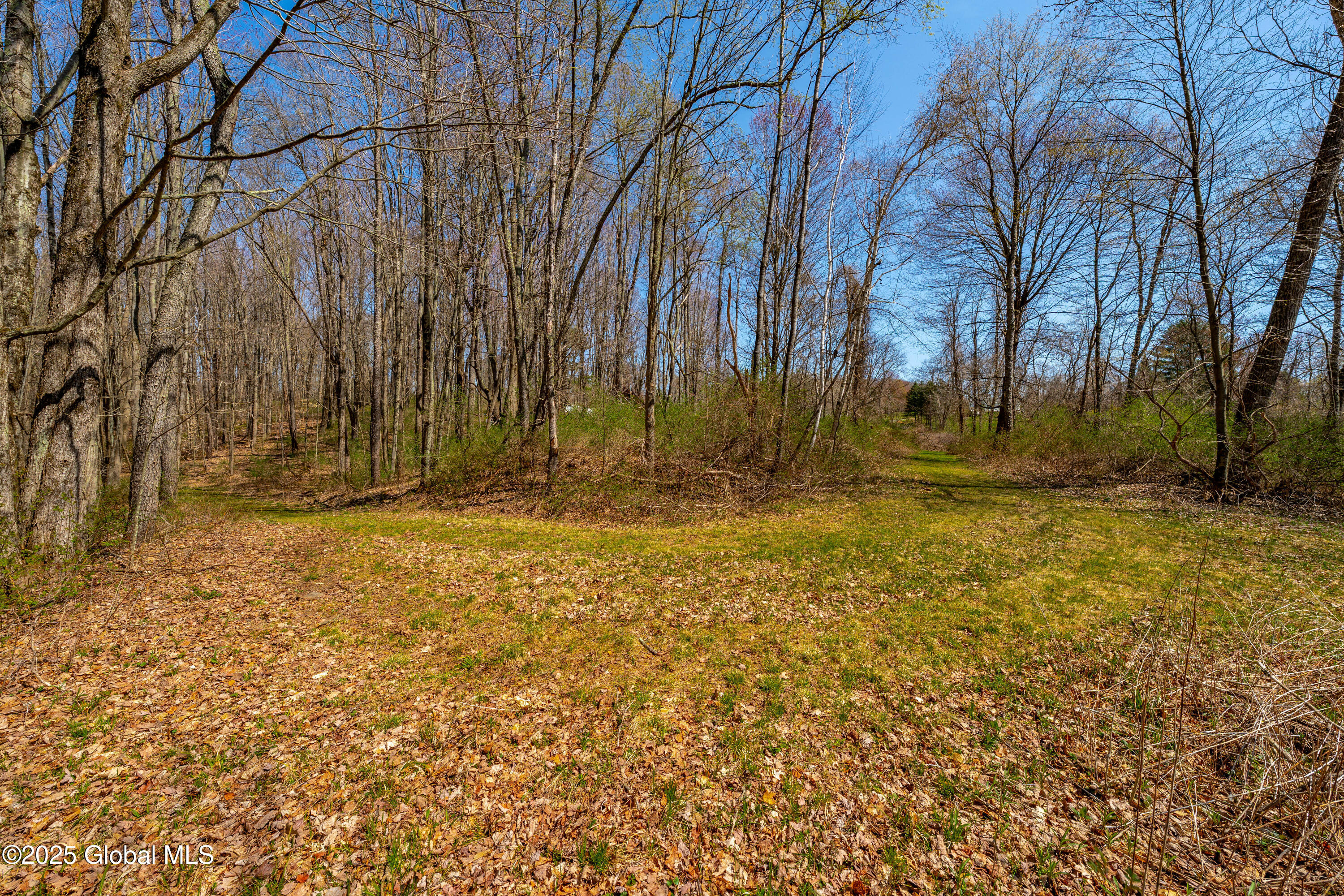 49 State Line Road White Creek, NY 12057 - Photo 7 of 32 DSC06722