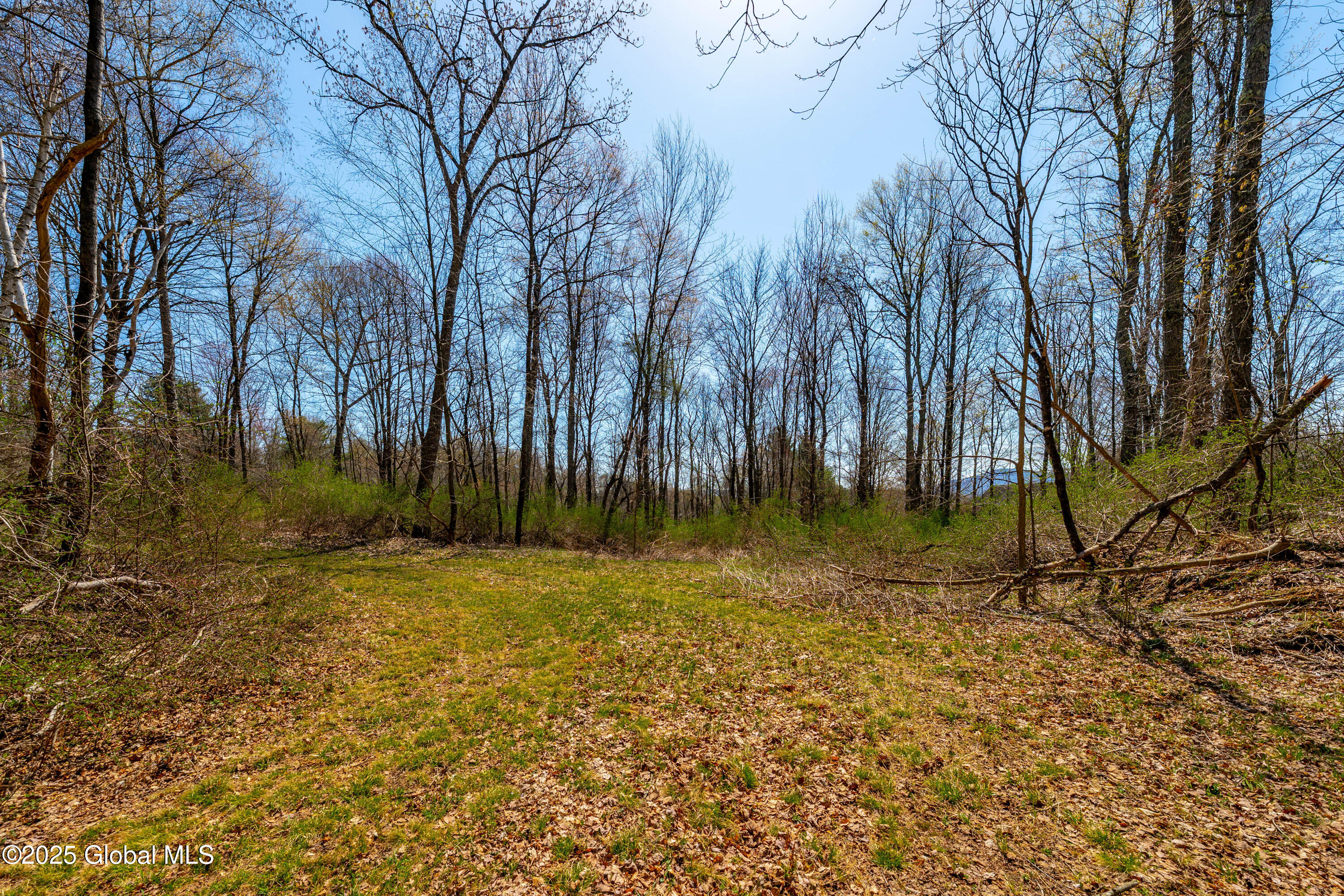 49 State Line Road White Creek, NY 12057 - Photo 8 of 32 DSC06720