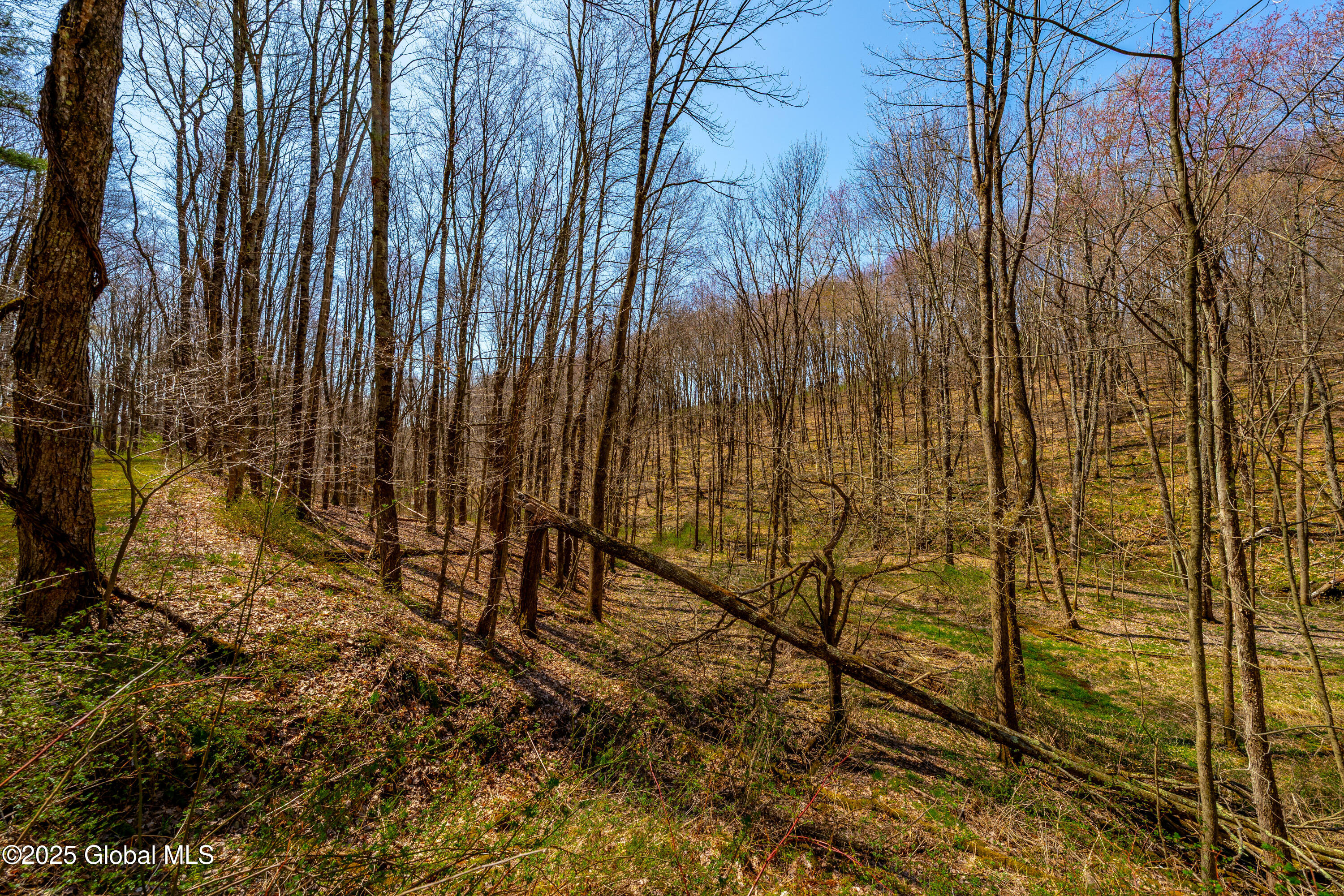 49 State Line Road White Creek, NY 12057 - Photo 9 of 32 DSC06718