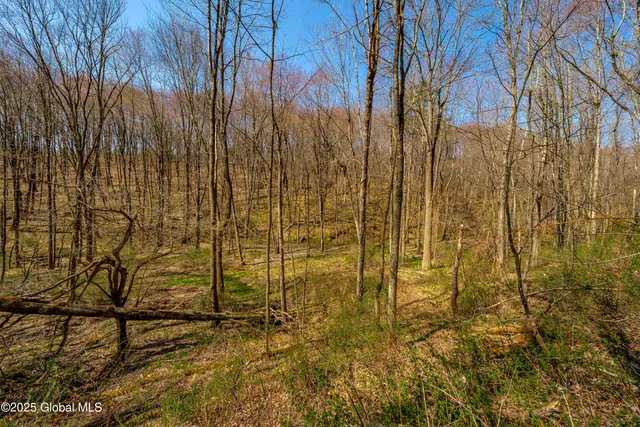 $299,900 | 49 State Line Road, White Creek, NY 12057