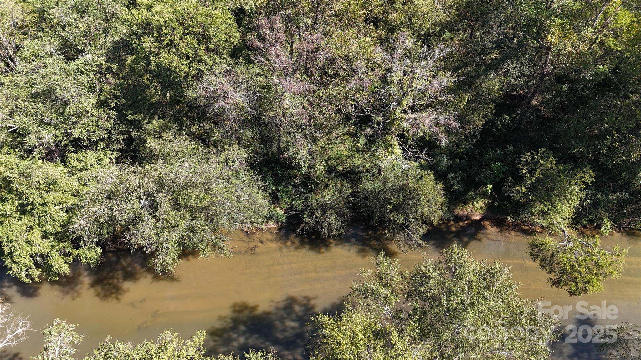 0 Clark Road Rutherfordton, NC 28139 - Photo 4 of 9