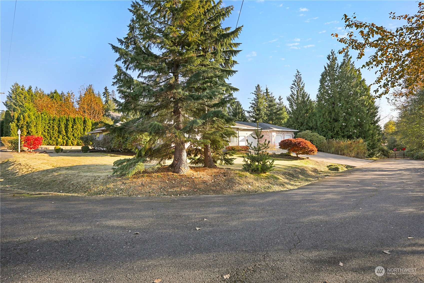 15203 Southeast 132nd Street Renton, WA 98059 - Photo 2 of 35 a view of yard with yellow lighting