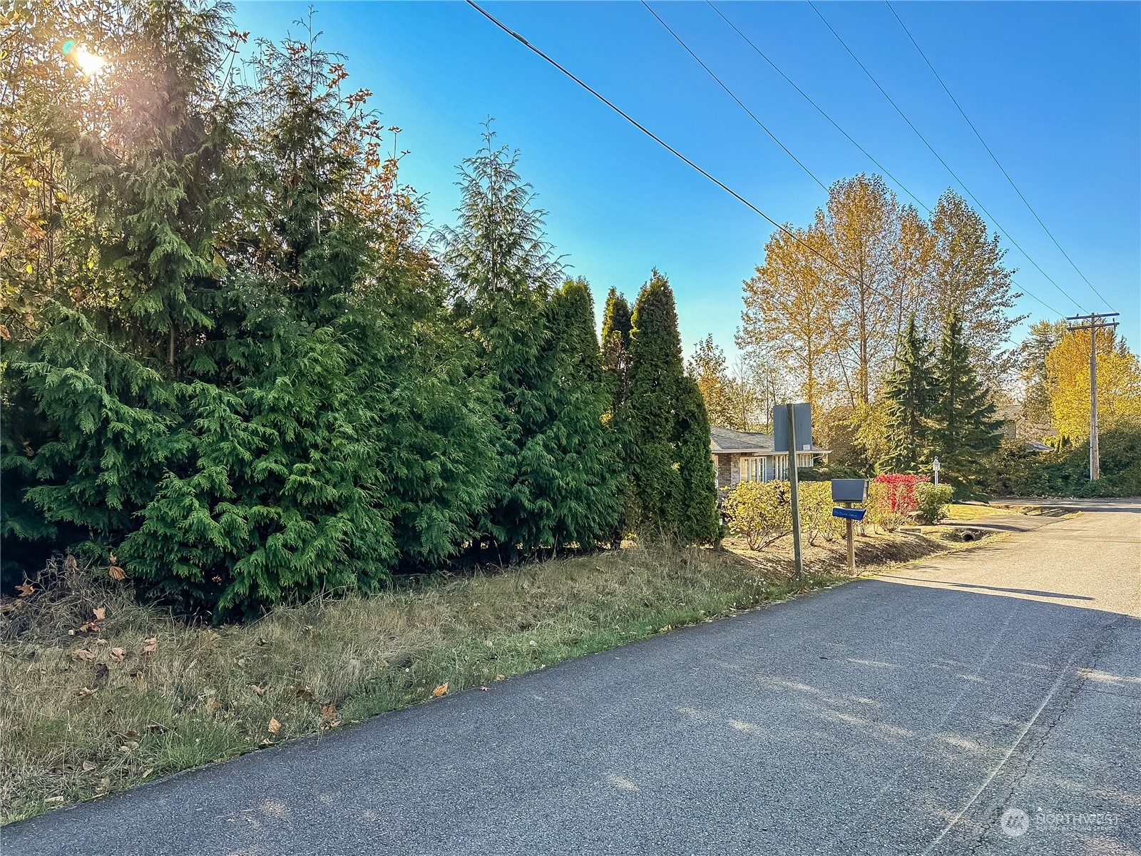 15203 Southeast 132nd Street Renton, WA 98059 - Photo 33 of 35 a view of a park with large trees