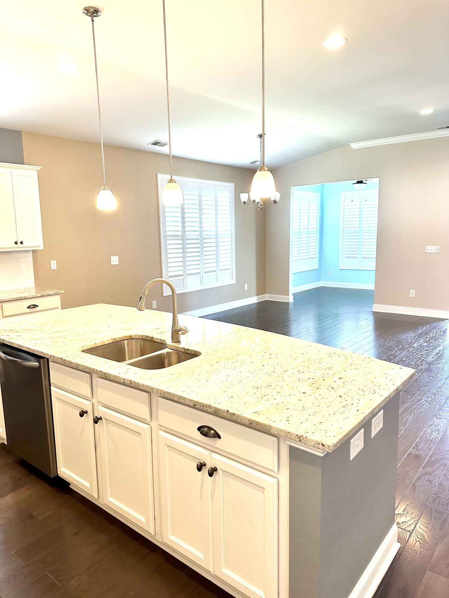 199 Red Knot Lane Mount Pleasant, SC 29464 - Photo 4 of 24 Kitchen