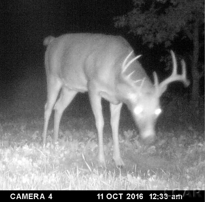 Vac East Blue Ridge Road Napoleon, MI 49261 - Photo 22 of 32