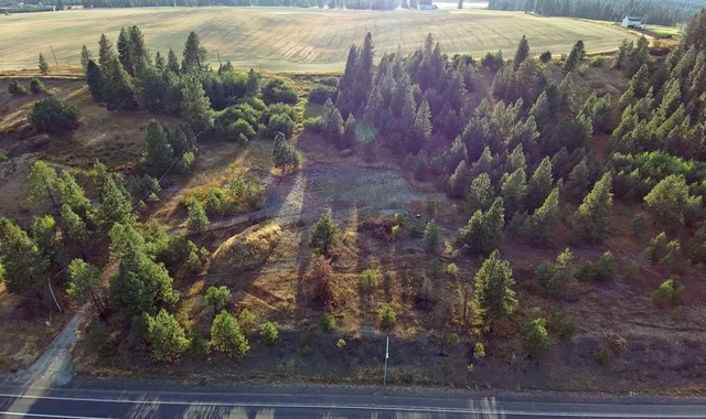$350,000 | 14117 East Gibbs Road, Mica, WA 99023
