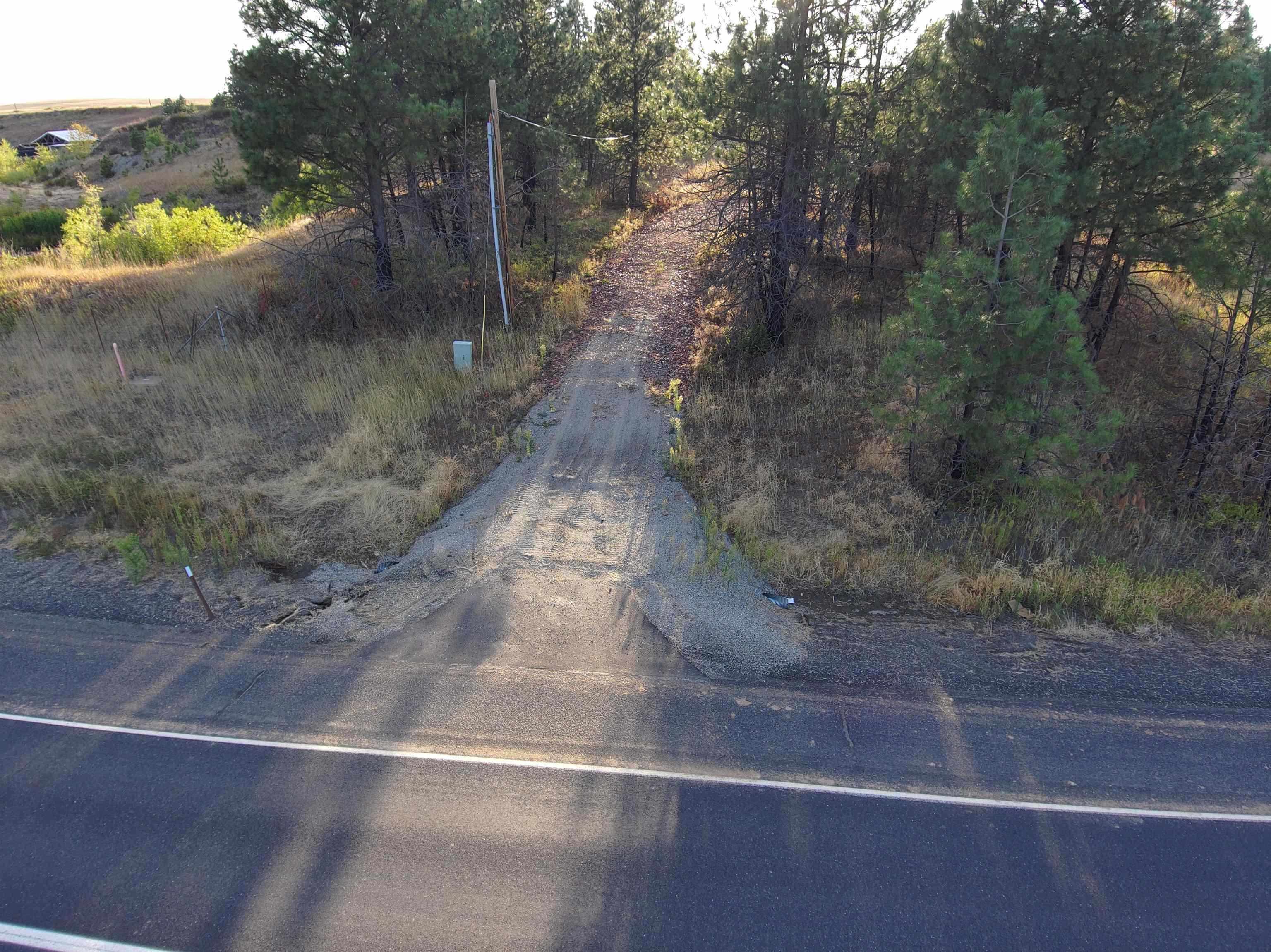 14117 East Gibbs Road Mica, WA 99023 - Photo 2 of 5