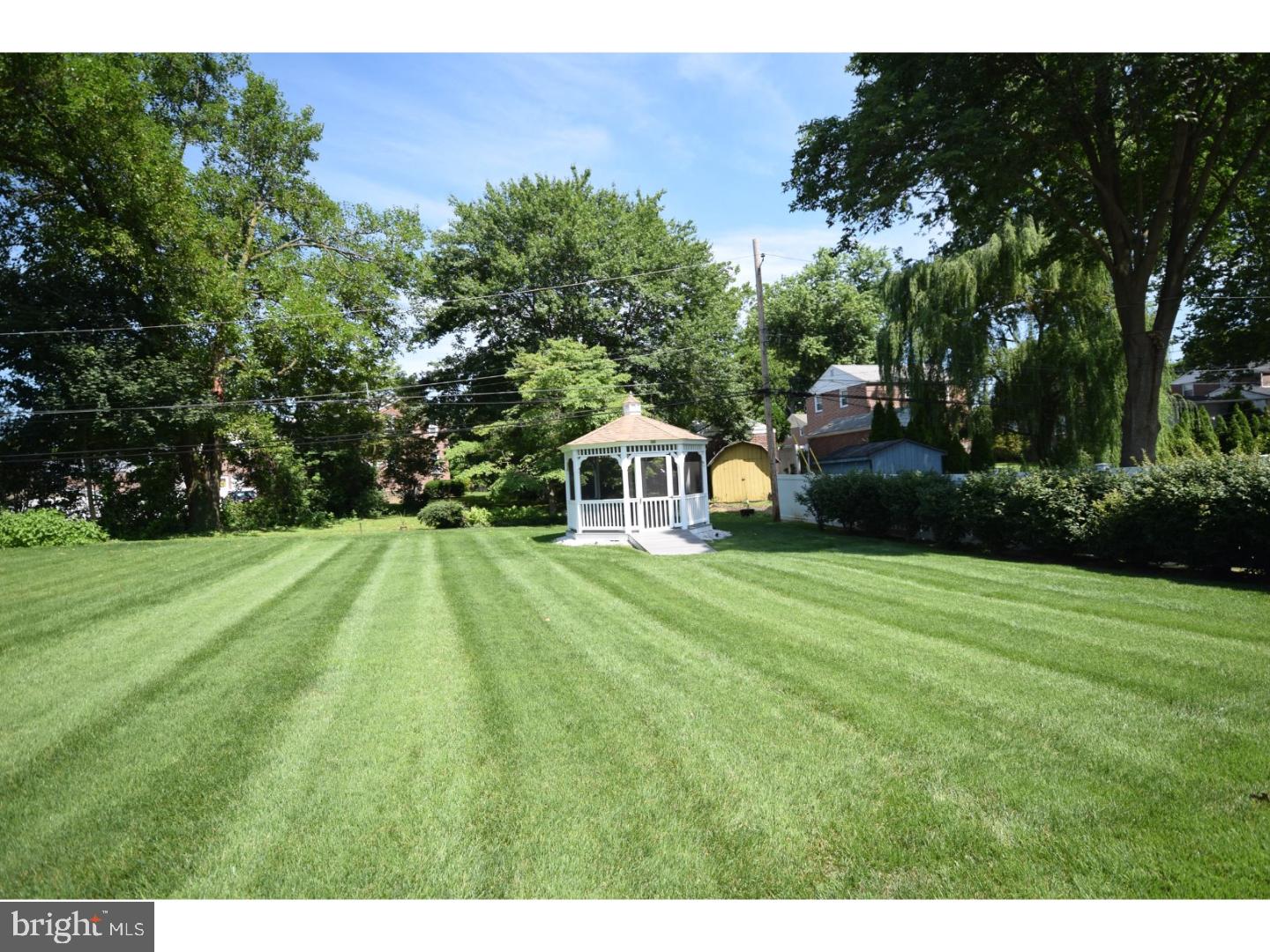 562 Evans Road Springfield, PA 19064 - Photo 2 of 22 Back Yard