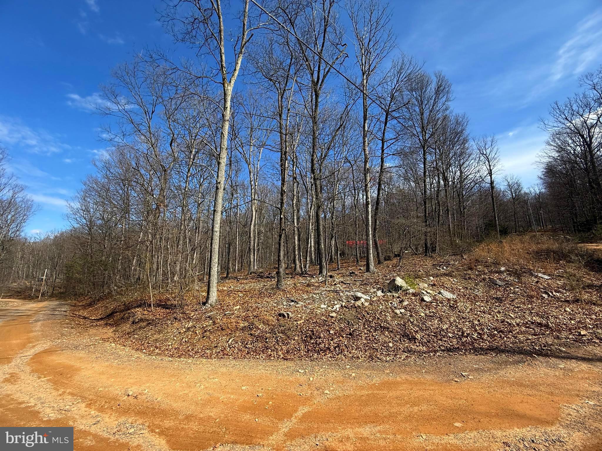 Lot 65 High Mountain View Road Romney, WV 26757 - Photo 4 of 4 a view of a yard with a tree
