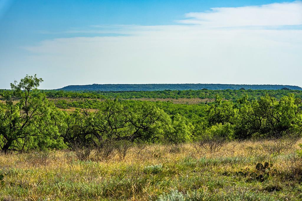 701 County Road Goldsboro, TX 79519 - Photo 8 of 24 a view of a field with an ocean