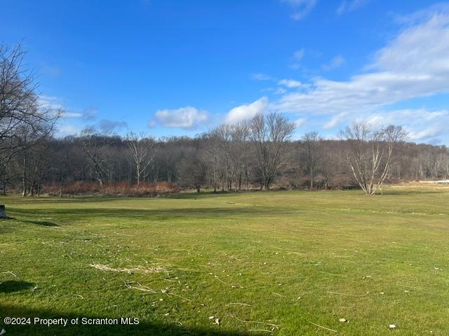 1650 Falls Road Clarks Summit, PA 18411 - Photo 3 of 13 Gallery Image 3