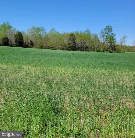 a view of a grassy field with trees in the background