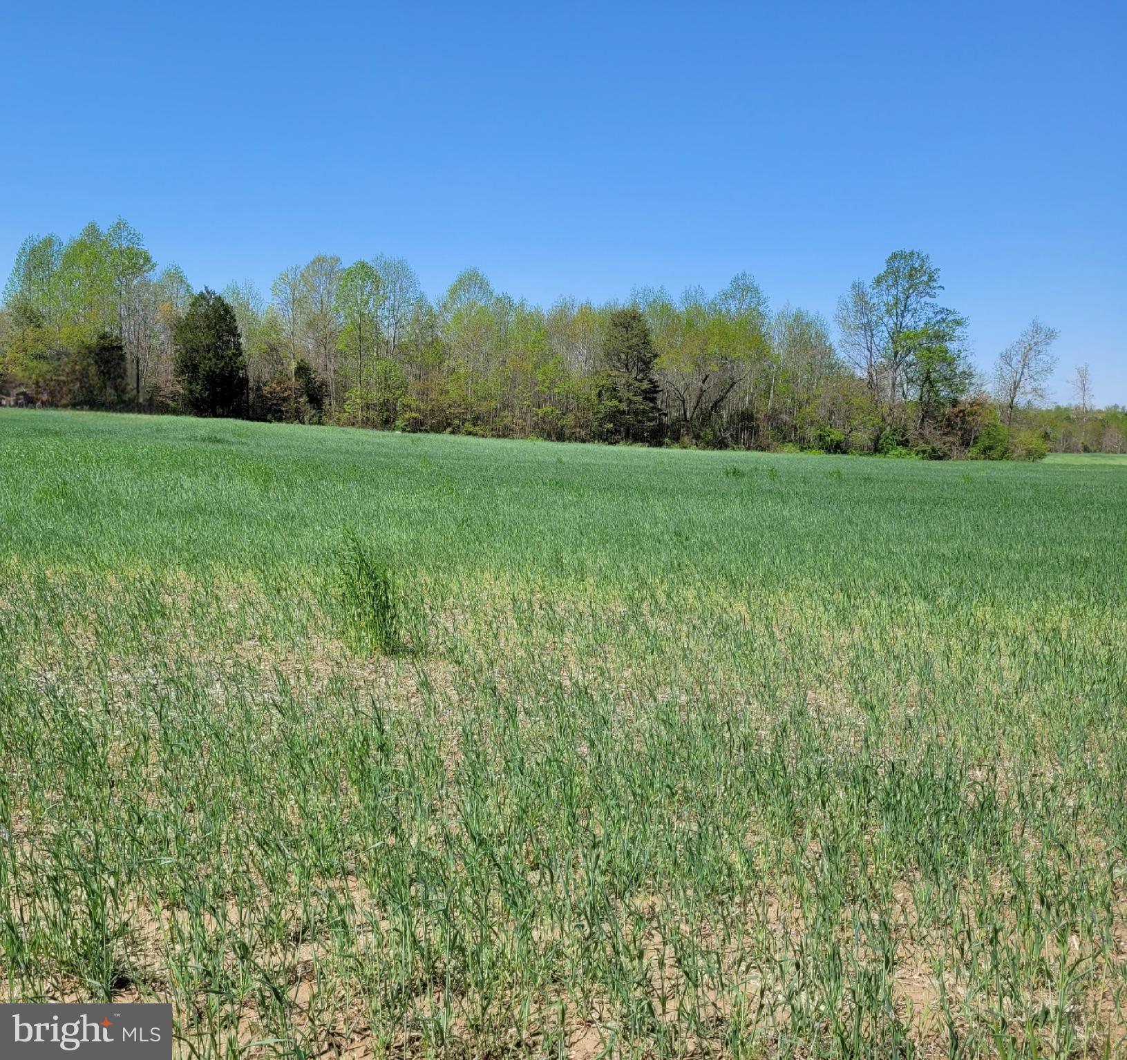 0 Newmans Neck Road Heathsville, VA 22473 - Photo 2 of 2