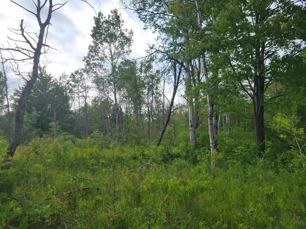 Vl Fornier Road Beaverton, MI 48612 - Photo 8 of 14