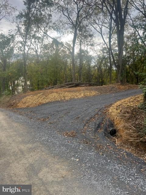 Castleman Road Berryville, VA 22611 - Photo 4 of 6