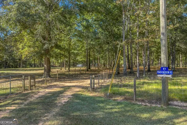 $345,000 | 81 Peach Blossom Road, Pineview, GA 31071